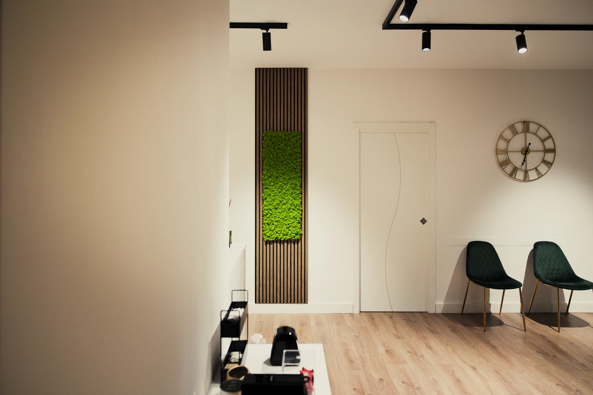 Zona Pilates Reformer FORMAeSALUTE 4